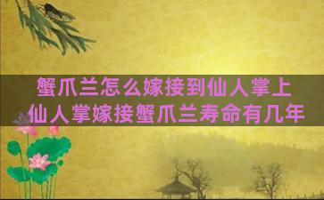 蟹爪兰怎么嫁接到仙人掌上 仙人掌嫁接蟹爪兰寿命有几年